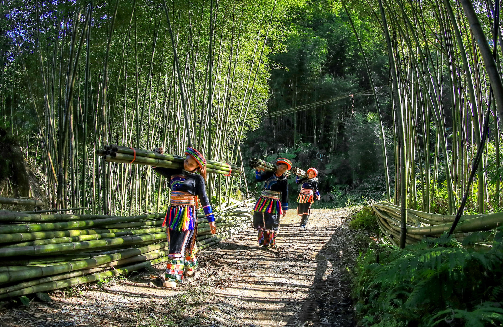 ألوان جديدة في المشهد السياحي لتاي نغوين - الصورة 8. Những gam màu mới trong bức tranh du lịch Thái Nguyên - Ảnh 8.