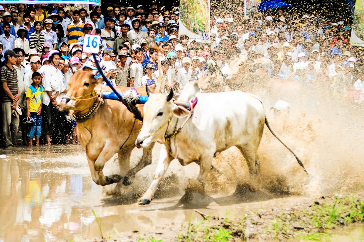 Du lịch An Giang tăng tốc bứt phá - Ảnh 1. Du lịch An Giang tăng tốc bứt phá - Ảnh 1.