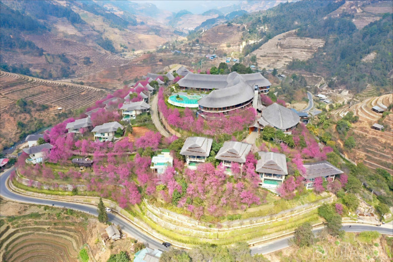 ການທ່ອງທ່ຽວລາວກາຍ: ລະດູໜາວທີ່ຕື່ນຂຶ້ນດ້ວຍງານບຸນສົ່ງທ້າຍປີຫຼາຍງານ - ຮູບທີ 4. Du lịch Lào Cai: Đánh thức mùa đông bằng chuỗi lễ hội cuối năm - Ảnh 4.