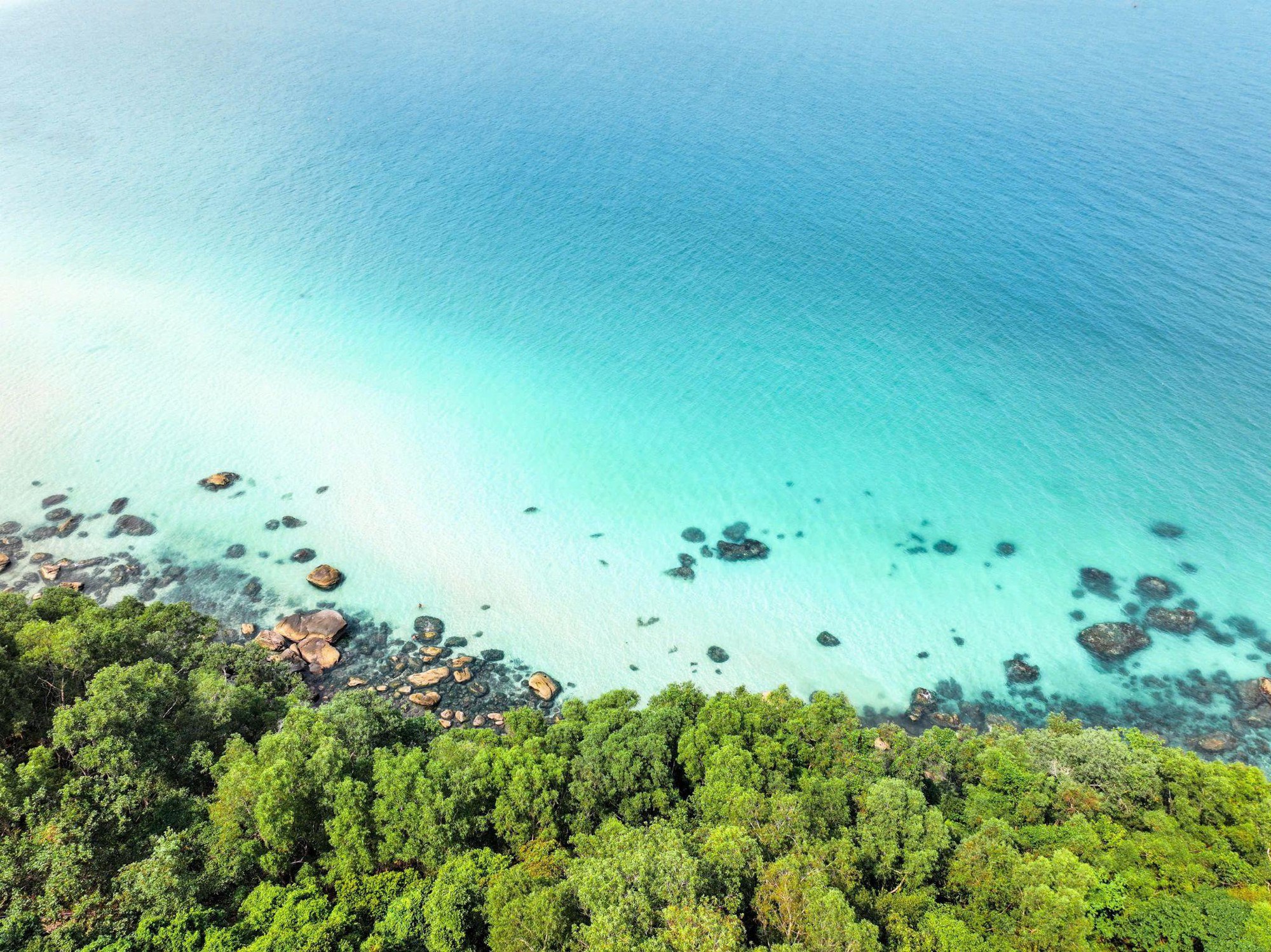 Phú Quốc dẫn đầu lượt tìm kiếm từ khách quốc tế trong dịp cuối năm - Ảnh 2. Phú Quốc dẫn đầu lượt tìm kiếm từ khách quốc tế trong dịp cuối năm - Ảnh 2.