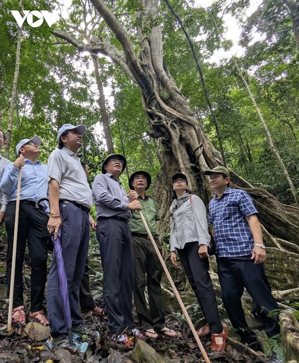 Phát triển du lịch sinh thái Gia Lai mở những giá trị tự nhiên độc nhất - Ảnh 1.