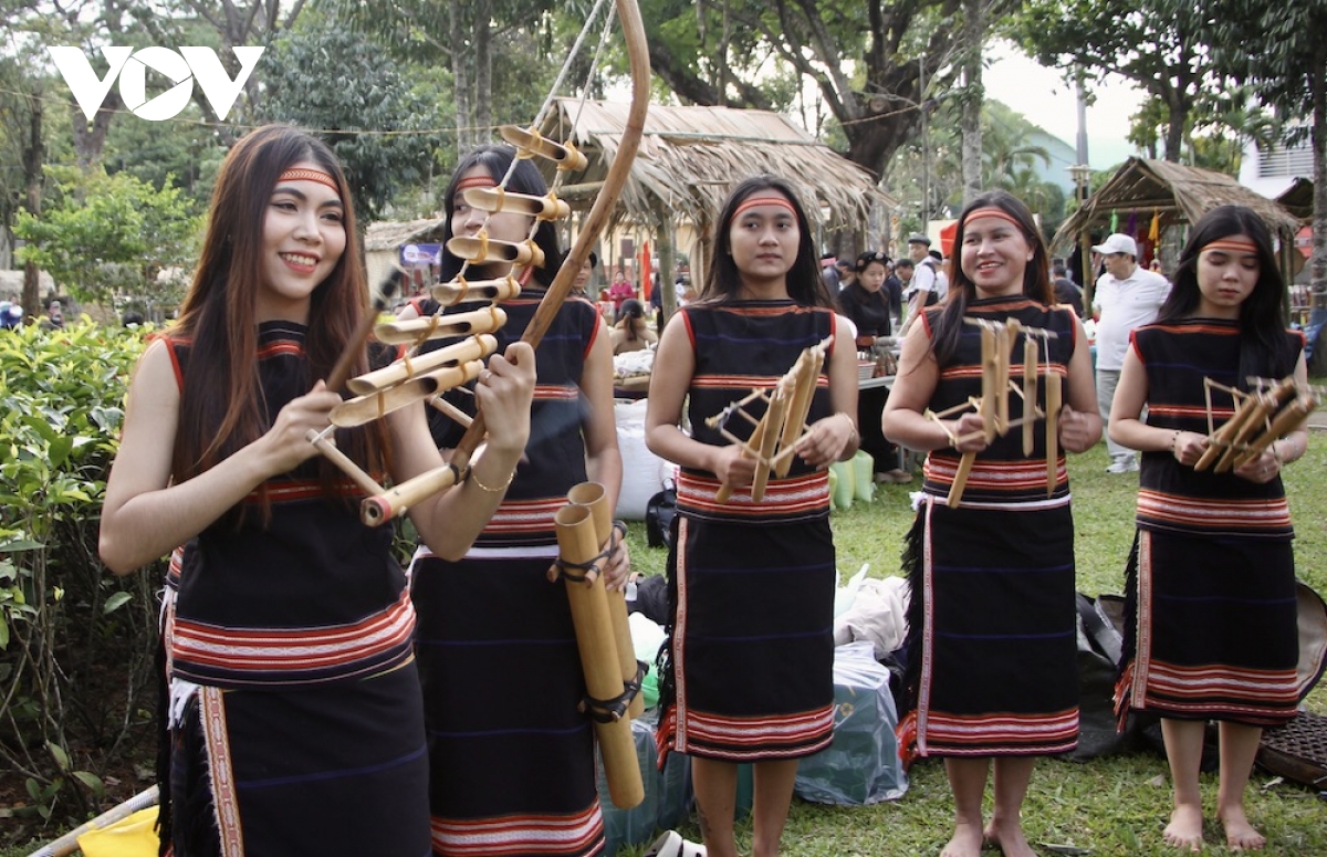Thế hệ trẻ gìn giữ và làm mới văn hóa bản địa Gia Lai - Ảnh 2.