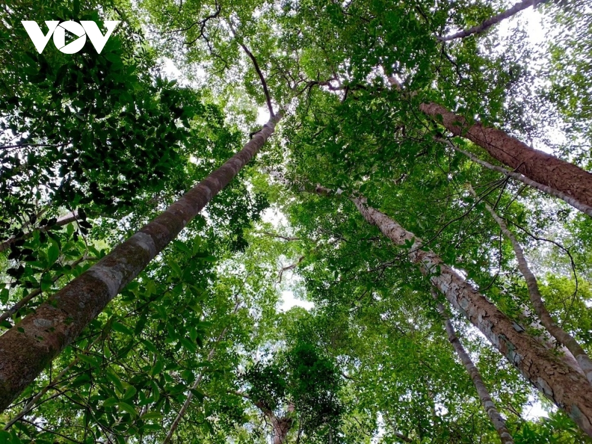 Phát triển du lịch sinh thái Gia Lai mở những giá trị tự nhiên độc nhất - Ảnh 4.