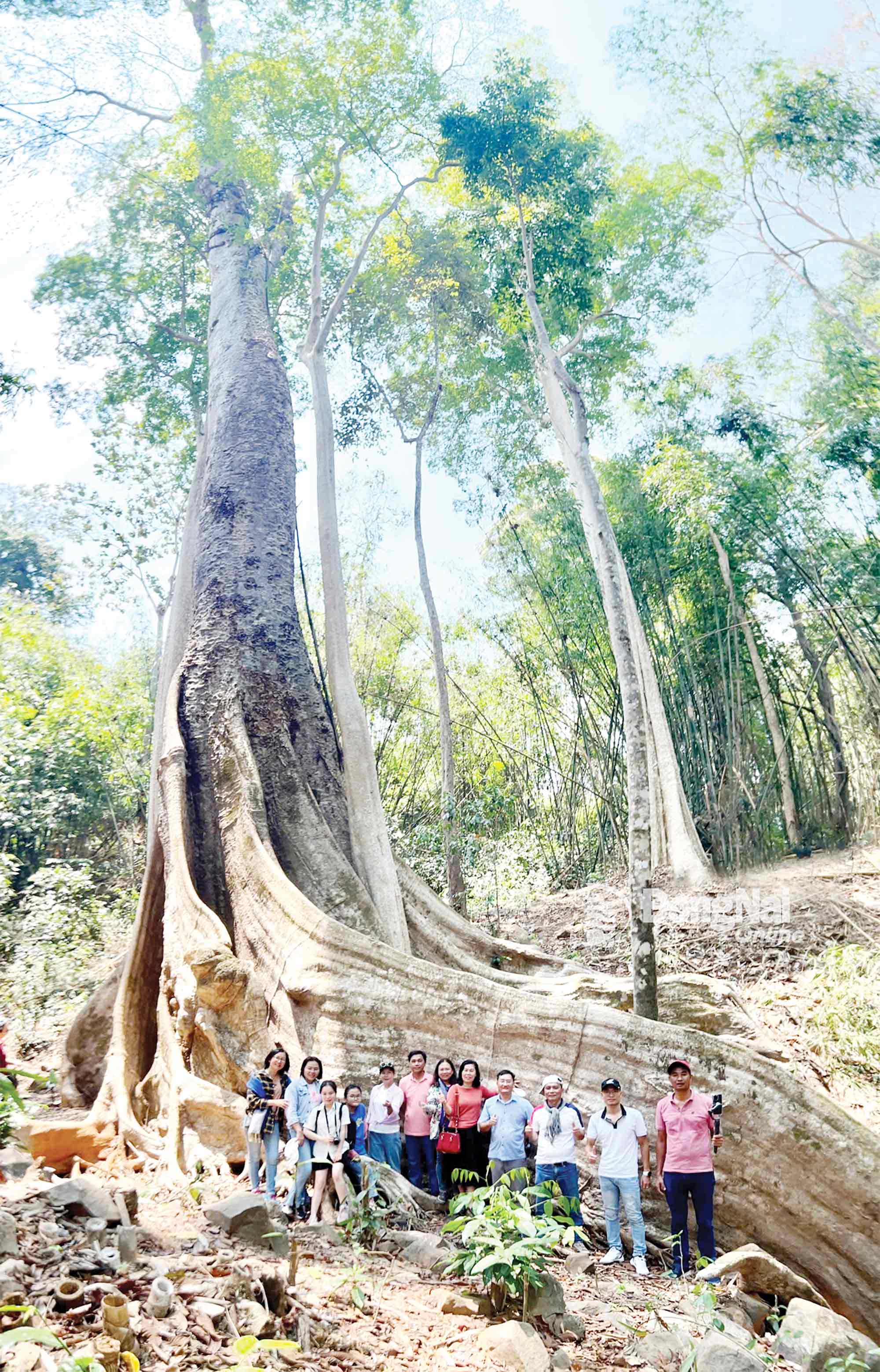 Dong Nai Tourism op weg om het groene en duurzame toerismemerk te positioneren - Foto 2. Du lịch Đồng Nai trong hành trình định vị thương hiệu du lịch xanh, bền vững - Ảnh 2.