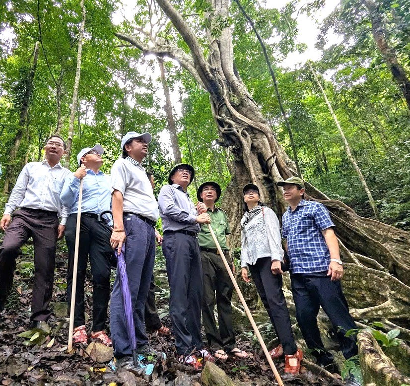 A Gia Lai Tartományi Turisztikai Egyesület hivatalosan megkezdi első ciklusát - 2. kép. Hiệp hội Du lịch tỉnh Gia Lai chính thức bước vào nhiệm kỳ đầu tiên - Ảnh 2.
