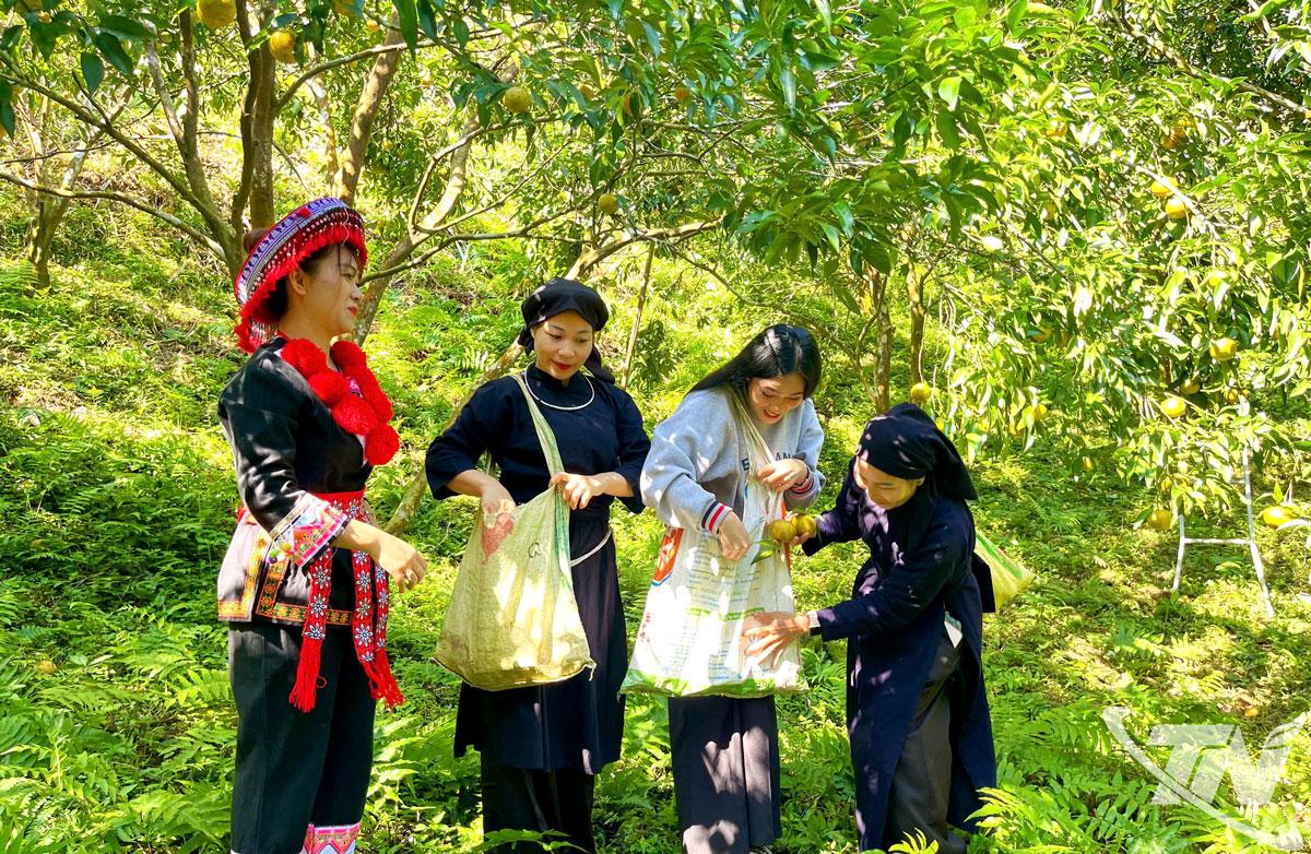 Du lịch Thái Nguyên bứt tốc để vươn xa - Ảnh 4.