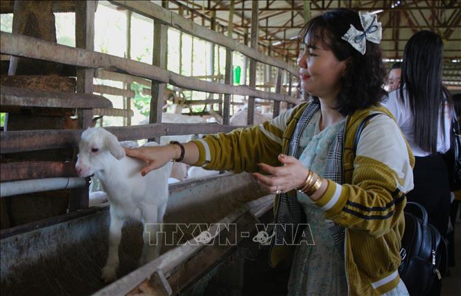 Du lịch nông thôn, làng nghề: Cần vượt qua tư duy khai thác đơn lẻ - Ảnh 1. Du lịch nông thôn, làng nghề: Cần vượt qua tư duy khai thác đơn lẻ - Ảnh 1.