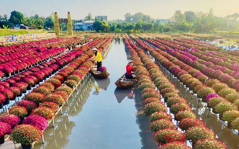 "Nghề trồng hoa kiểng Sa Đéc" được công nhận là di sản văn hóa phi vật thể quốc gia