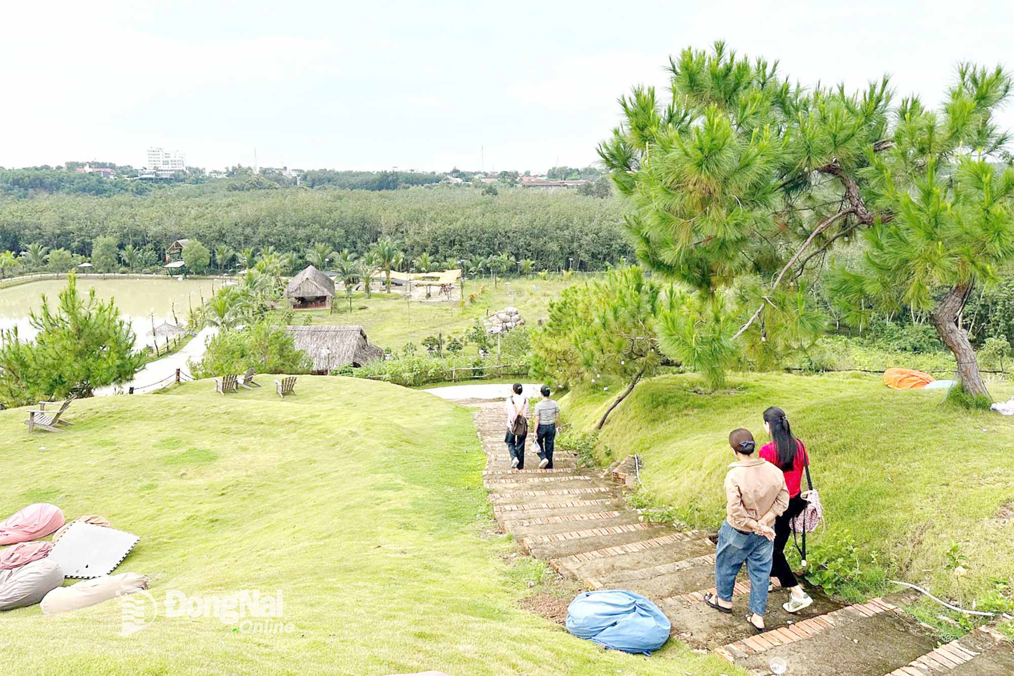 Đồng Nai đón hơn 4,9 triệu lượt khách du lịch - Ảnh 1.