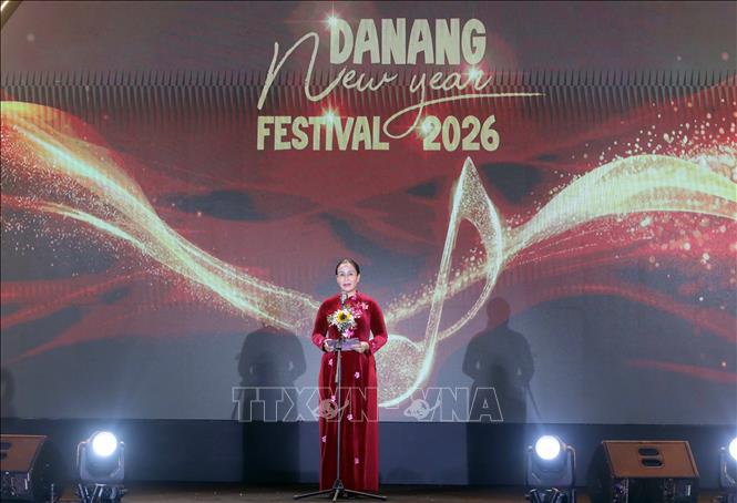 Khai mạc Lễ hội Chào năm mới Đà Nẵng 2026 - Ảnh 1.