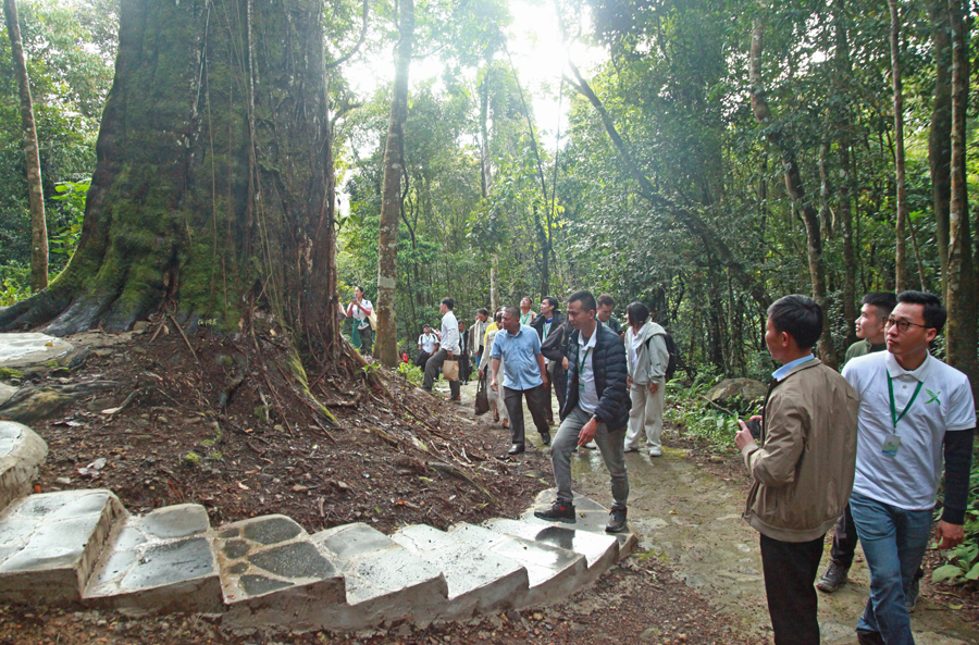 ការអភិវឌ្ឍន៍ទេសចរណ៍បៃតងគឺជាផ្លូវជៀសមិនរួចសម្រាប់អនាគតរុងរឿង និងនិរន្តរភាពនៃឧស្សាហកម្មទេសចរណ៍ - រូបថត ១១. Phát triển du lịch xanh là con đường tất yếu, vì tương lai thịnh vượng, bền vững của ngành Du lịch - Ảnh 11.