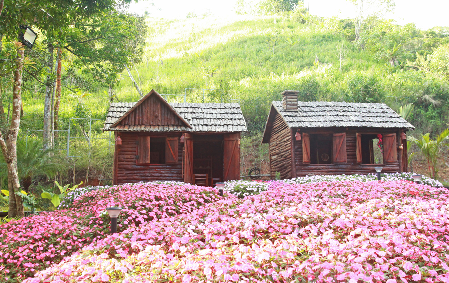 ការអភិវឌ្ឍន៍ទេសចរណ៍បៃតងគឺជាផ្លូវជៀសមិនរួចសម្រាប់អនាគតរុងរឿងនិងនិរន្តរភាពនៃឧស្សាហកម្មទេសចរណ៍ - រូបថត 12 ។ Phát triển du lịch xanh là con đường tất yếu, vì tương lai thịnh vượng, bền vững của ngành Du lịch - Ảnh 12.