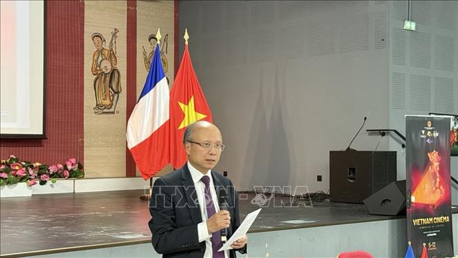 Tọa đàm về cơ hội hợp tác giữa điện ảnh Việt Nam và Pháp - Ảnh 1.