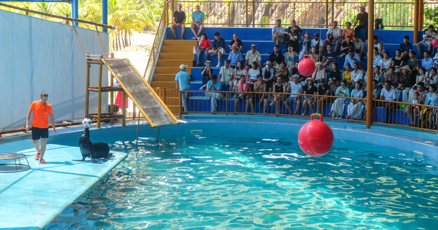 Gia Lai nỗ lực phục hồi hoạt động du lịch - Ảnh 1.