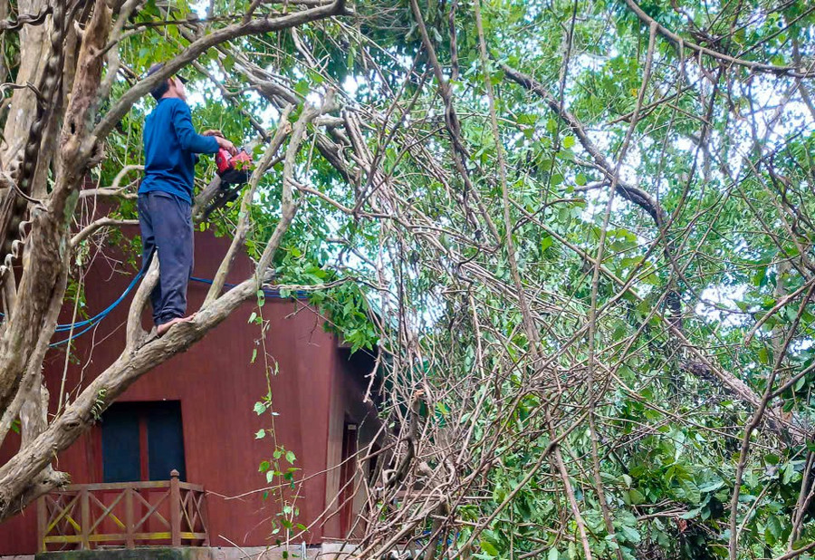 Gia Lai nỗ lực phục hồi hoạt động du lịch - Ảnh 2.