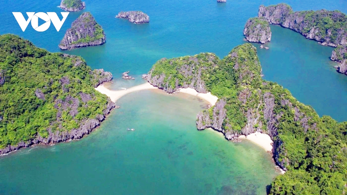 Los sextos World Travel Awards honraron a Vietnam como el principal destino patrimonial - Foto 1. World Travel Awards lần thứ 6 tôn vinh Việt Nam là Điểm đến di sản hàng đầu - Ảnh 1.