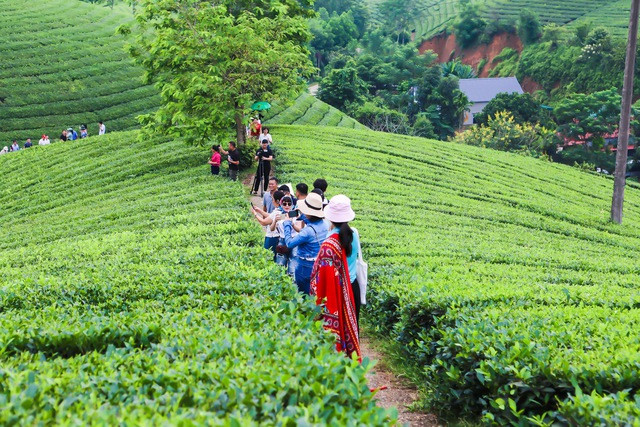 Long Cốc từ cây chè đến sản phẩm văn hóa, du lịch - Ảnh 7.