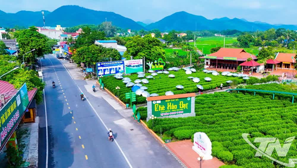 Lễ hội “Thái Nguyên - Hương sắc danh trà 2025”: Bản hòa ca của trà, văn hóa và du lịch - Ảnh 2. Lễ hội “Thái Nguyên - Hương sắc danh trà 2025”: Bản hòa ca của trà, văn hóa và du lịch - Ảnh 2.