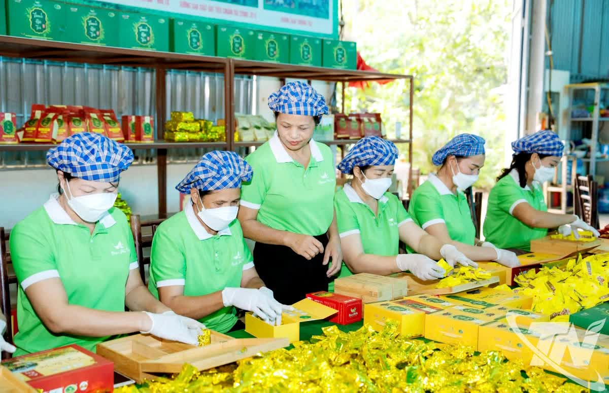 Lễ hội “Thái Nguyên - Hương sắc danh trà 2025”: Bản hòa ca của trà, văn hóa và du lịch - Ảnh 3. Lễ hội “Thái Nguyên - Hương sắc danh trà 2025”: Bản hòa ca của trà, văn hóa và du lịch - Ảnh 3.