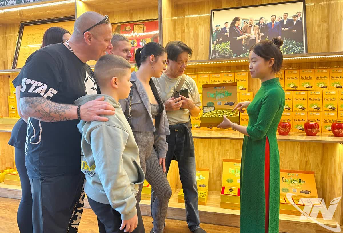 Lễ hội “Thái Nguyên - Hương sắc danh trà 2025”: Bản hòa ca của trà, văn hóa và du lịch - Ảnh 4. Lễ hội “Thái Nguyên - Hương sắc danh trà 2025”: Bản hòa ca của trà, văn hóa và du lịch - Ảnh 4.