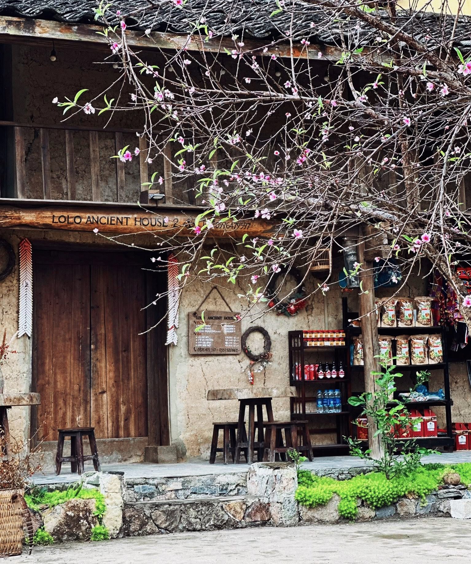 Du lịch thắp sáng khát vọng đổi đời cho đồng bào dân tộc thiểu số ở Lô Lô Chải - Ảnh 4. Du lịch thắp sáng khát vọng đổi đời cho đồng bào dân tộc thiểu số ở Lô Lô Chải - Ảnh 4.