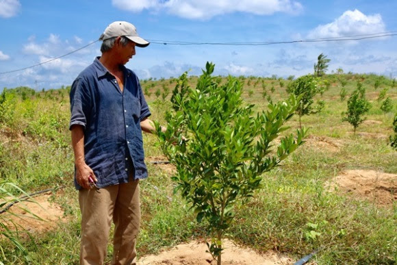 Đào tạo nghề và phát triển nguồn nhân lực – “chìa khóa mở cửa” cho kinh tế vùng dân tộc thiểu số và miền núi - Ảnh 2.