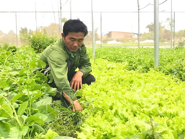 Đào tạo nghề và phát triển nguồn nhân lực – “chìa khóa mở cửa” cho kinh tế vùng dân tộc thiểu số và miền núi - Ảnh 1.