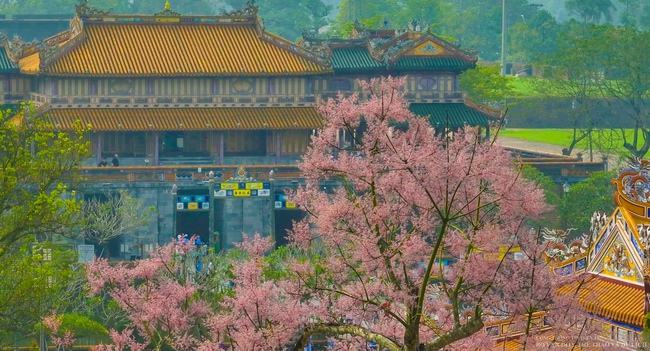 Hue promovează conservarea patrimoniului și dezvoltarea industriei culturale în 2026 - Fotografia 1. Huế đẩy mạnh bảo tồn di sản và phát triển công nghiệp văn hóa trong năm 2026 - Ảnh 1.