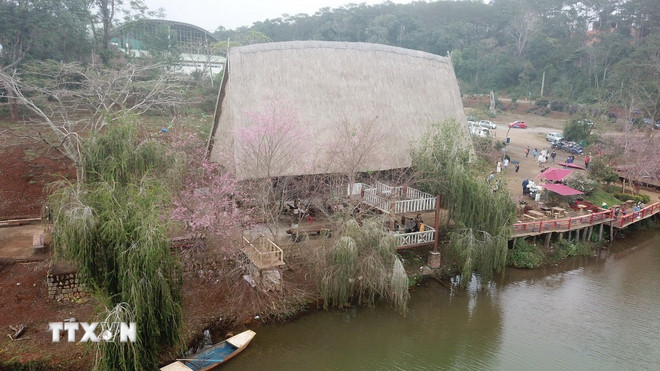 Kon Tum: Bảo vệ vẻ đẹp hoang sơ của Măng Đen trước làn sóng du lịch &quot;bùng nổ&quot; - Ảnh 2.