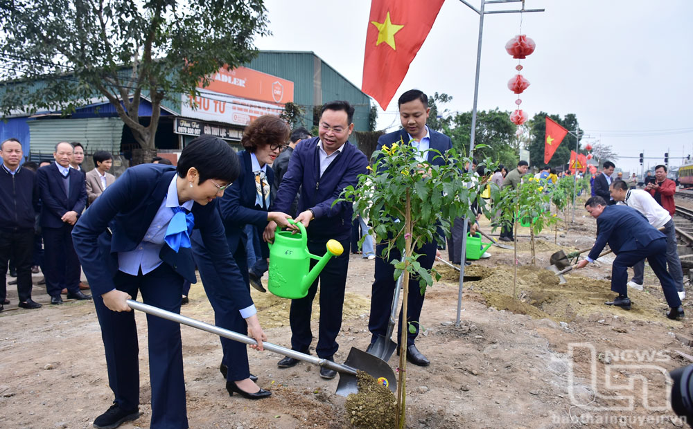 Trải nghiệm 'Hành trình Xuân về với xứ Trà' - Ảnh 2.