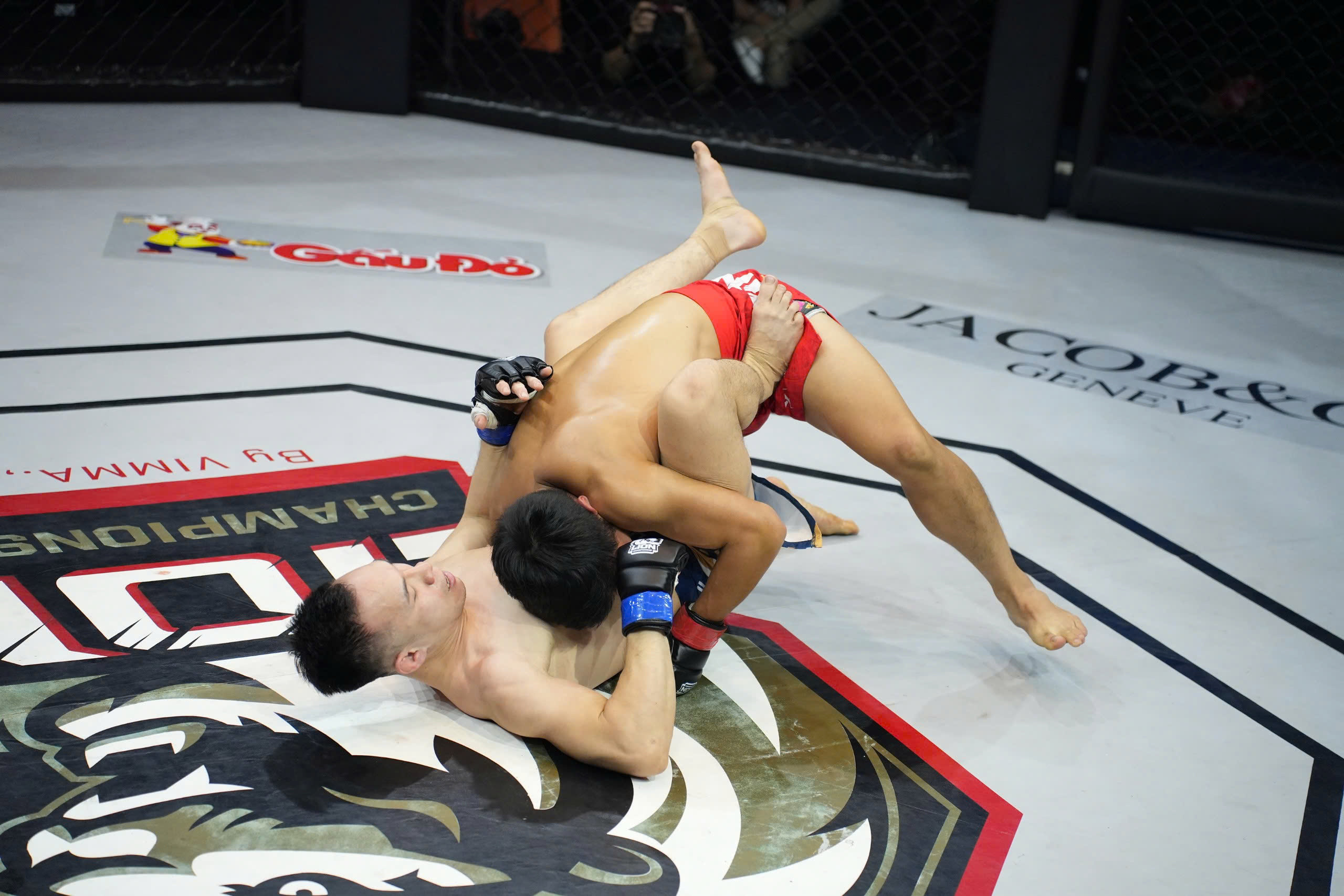LION Championship 21 exploded with a new format on the opening day of the 2025 event series - Photo 2. LION Championship 21 bùng nổ với thể thức mới trong ngày khởi đầu chuỗi sự kiện năm 2025 - Ảnh 2.