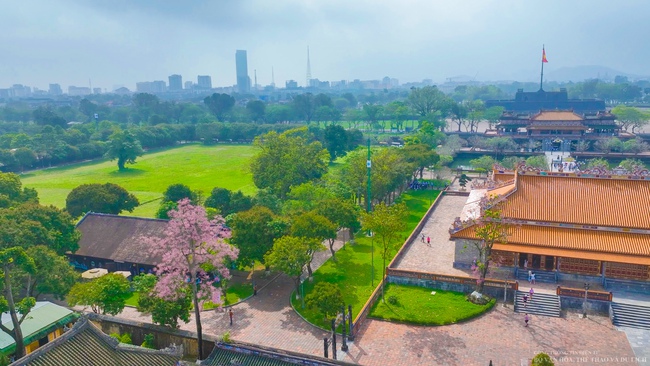 Bộ VHTTDL đặt mục tiêu năm 2026 cắt giảm, đơn giản hoá 100% điều kiện đầu tư kinh doanh không cần thiết - Ảnh 1. Bộ VHTTDL đặt mục tiêu năm 2026 cắt giảm, đơn giản hoá 100% điều kiện đầu tư kinh doanh không cần thiết - Ảnh 1.