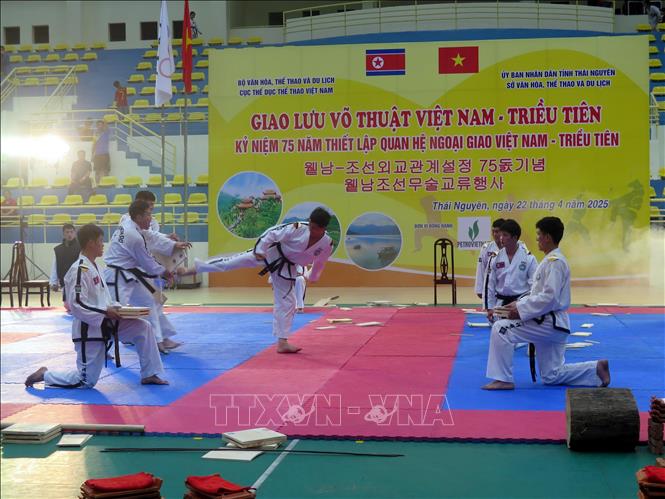 Giao lưu võ thuật Việt Nam - Triều Tiên chào mừng 75 năm thiết lập quan hệ ngoại giao - Ảnh 3.