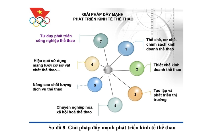 Giải pháp thực hiện chương trình phát triển các môn thể thao trọng điểm chuẩn bị tham dự các kỳ Olympic, ASIAD giai đoạn 2026-2046 - Ảnh 8. Giải pháp thực hiện chương trình phát triển các môn thể thao trọng điểm chuẩn bị tham dự các kỳ Olympic, ASIAD giai đoạn 2026-2046 - Ảnh 8.