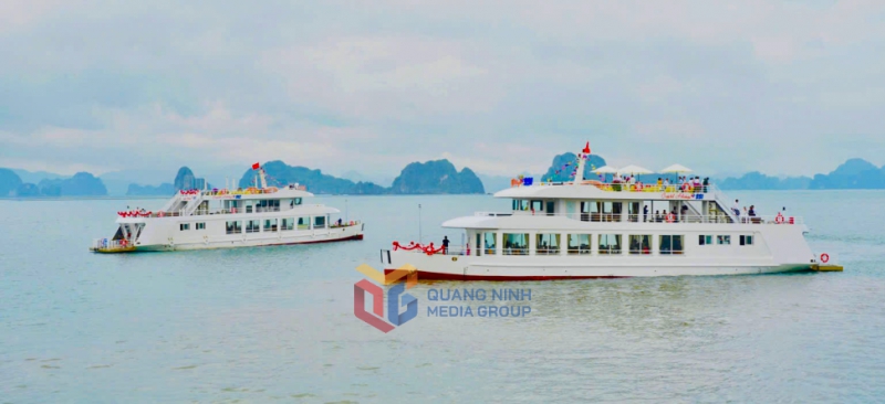 Ngành Du lịch Quảng Ninh bứt tốc đón vận hội mới - Ảnh 3. Ngành Du lịch Quảng Ninh bứt tốc đón vận hội mới - Ảnh 3.