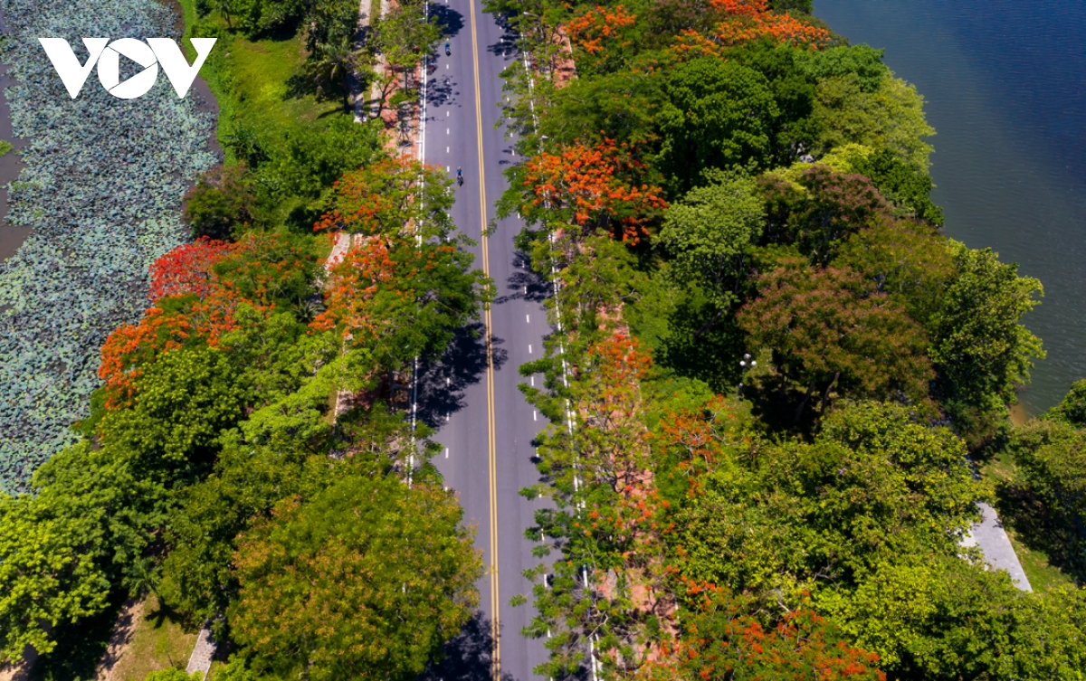 Huế định vị thương hiệu du lịch “thành phố xanh” - Ảnh 3. Huế định vị thương hiệu du lịch “thành phố xanh” - Ảnh 3.