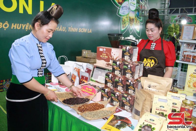 Sơn La xây dựng nguồn nhân lực du lịch trước yêu cầu phát triển - Ảnh 8. Sơn La xây dựng nguồn nhân lực du lịch trước yêu cầu phát triển - Ảnh 8.