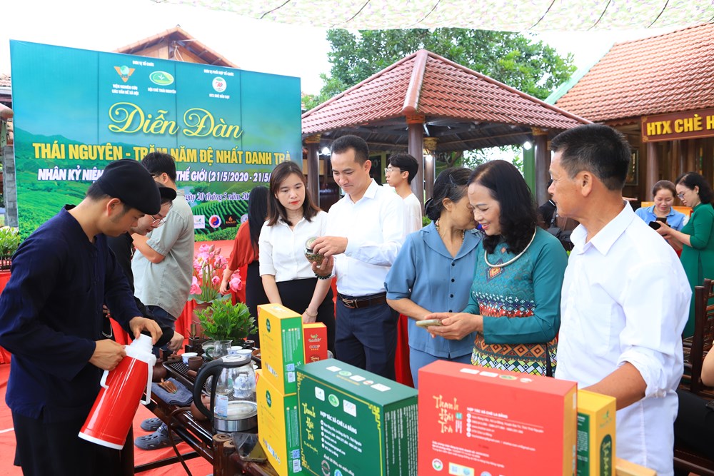 Thái Nguyên - Trăm năm đệ nhất danh trà: Hành trình gìn giữ bản sắc và vươn tầm thế giới - Ảnh 5. Thái Nguyên - Trăm năm đệ nhất danh trà: Hành trình gìn giữ bản sắc và vươn tầm thế giới - Ảnh 5.
