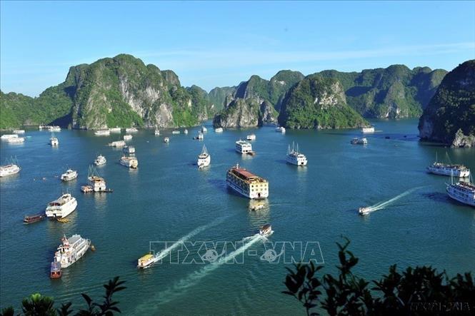 Quảng Ninh: Dừng hoạt động với tàu du lịch để khách sử dụng sản phẩm nhựa dùng một lần - Ảnh 1. Quảng Ninh: Dừng hoạt động với tàu du lịch để khách sử dụng sản phẩm nhựa dùng một lần - Ảnh 1.