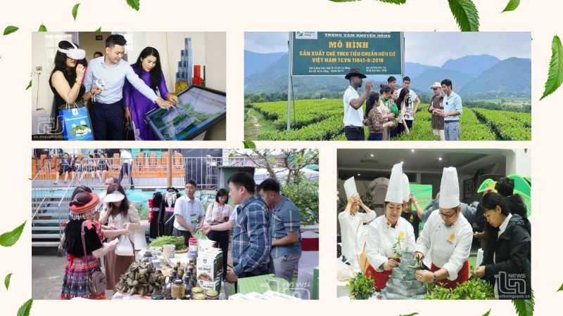 Thái Nguyên: Mùa du lịch "thức giấc" - Ảnh 6. Thái Nguyên: Mùa du lịch "thức giấc" - Ảnh 6.