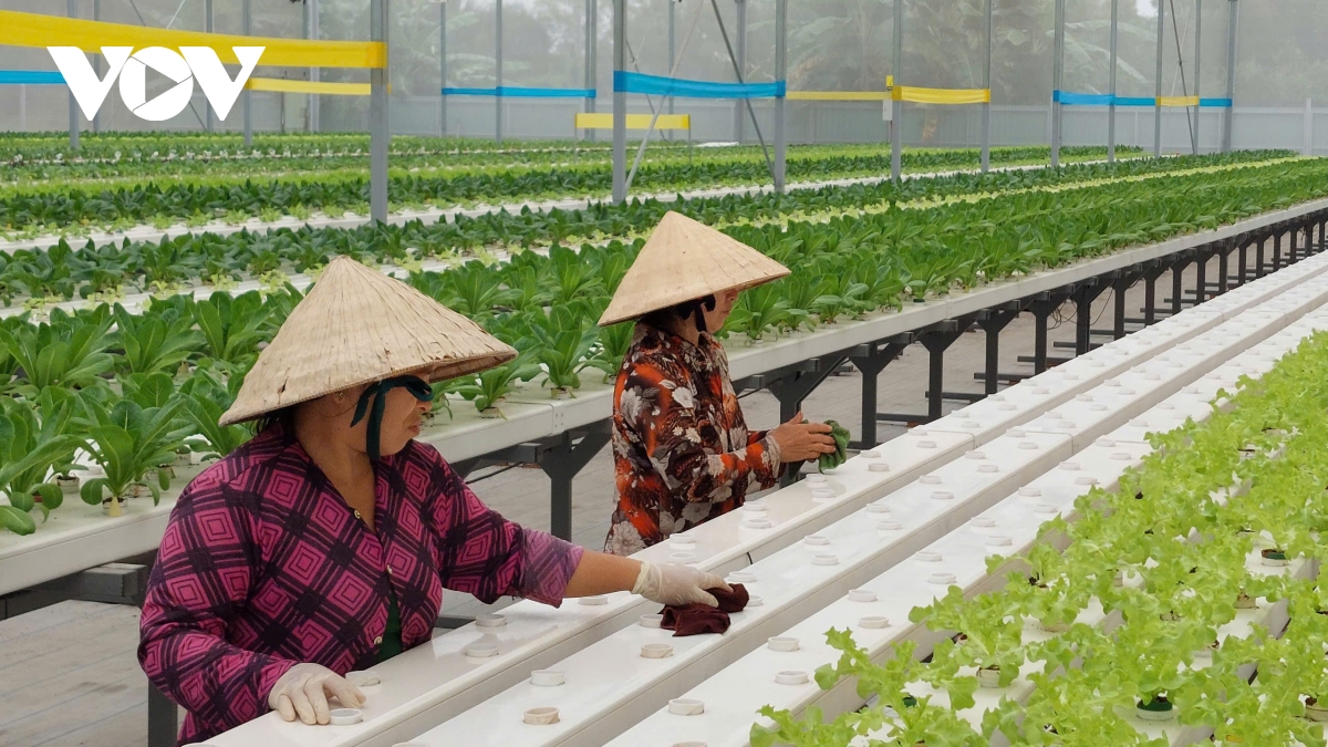 Long An phát huy di tích, phát triển du lịch bền vững - Ảnh 2. Long An phát huy di tích, phát triển du lịch bền vững - Ảnh 2.