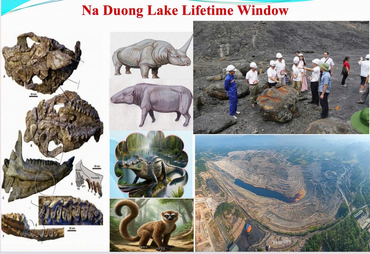Phát huy các giá trị di sản địa chất - bệ phóng cho du lịch Xứ Lạng - Ảnh 2. Phát huy các giá trị di sản địa chất - bệ phóng cho du lịch Xứ Lạng - Ảnh 2.