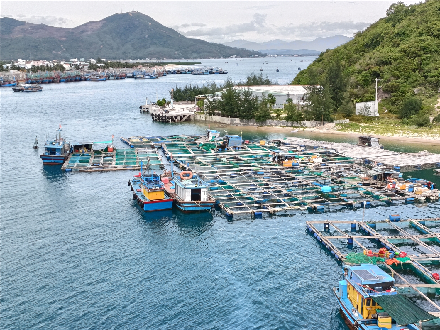 Bình Định: Lập quy hoạch khu đô thị, nghỉ dưỡng, bến siêu du thuyền 5.200ha - Ảnh 1. Bình Định: Lập quy hoạch khu đô thị, nghỉ dưỡng, bến siêu du thuyền 5.200ha - Ảnh 1.