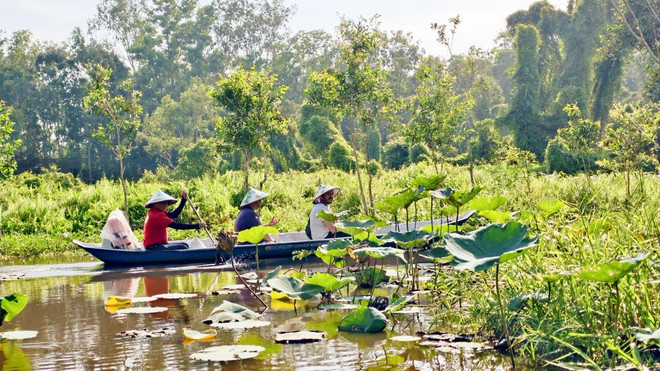 Du lịch Đồng bằng sông Cửu Long: Tạo điểm nhấn từ văn hóa, cảnh quan - Ảnh 3. Du lịch Đồng bằng sông Cửu Long: Tạo điểm nhấn từ văn hóa, cảnh quan - Ảnh 3.