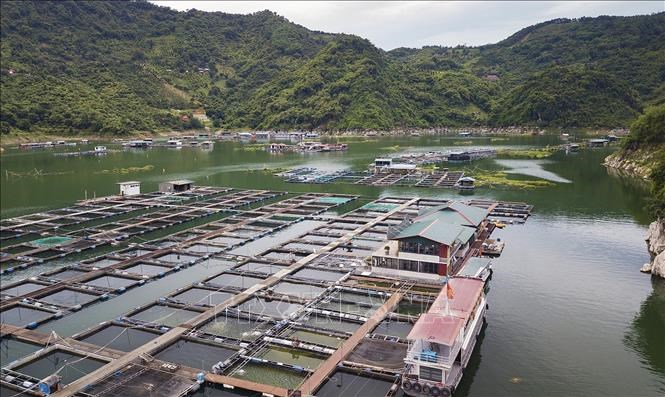 Du lịch kết hợp ngư nghiệp tạo sự phát triển bền vững - Ảnh 1. Du lịch kết hợp ngư nghiệp tạo sự phát triển bền vững - Ảnh 1.