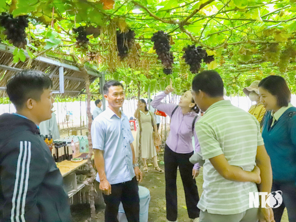 Ngành du lịch Ninh Thuận đón hơn 2,29 triệu lượt khách - Ảnh 1. Ngành du lịch Ninh Thuận đón hơn 2,29 triệu lượt khách - Ảnh 1.