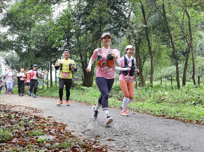 Ninh Bình: Quảng bá du lịch di sản qua các sự kiện thể thao