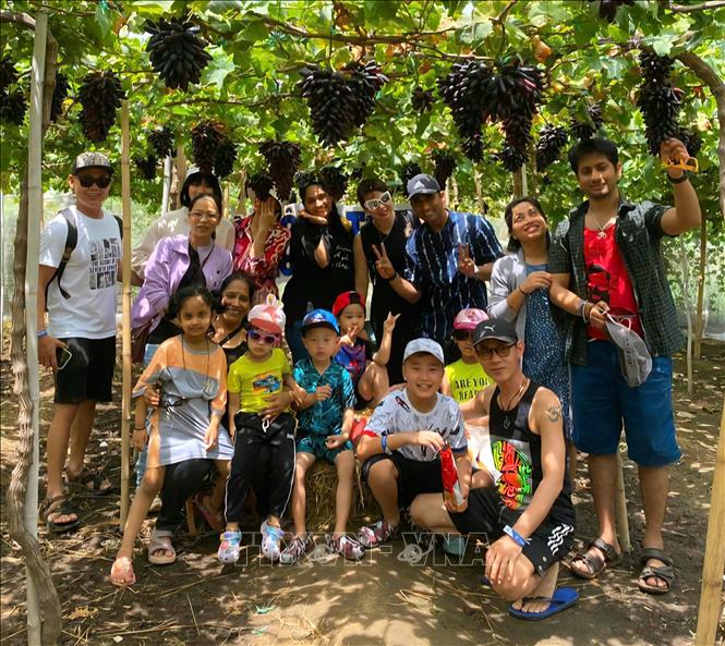 Ninh Thuận: Quảng bá sản phẩm OCOP gắn với du lịch trải nghiệm tại vùng đất của nắng và gió - Ảnh 1. Ninh Thuận: Quảng bá sản phẩm OCOP gắn với du lịch trải nghiệm tại vùng đất của nắng và gió - Ảnh 1.