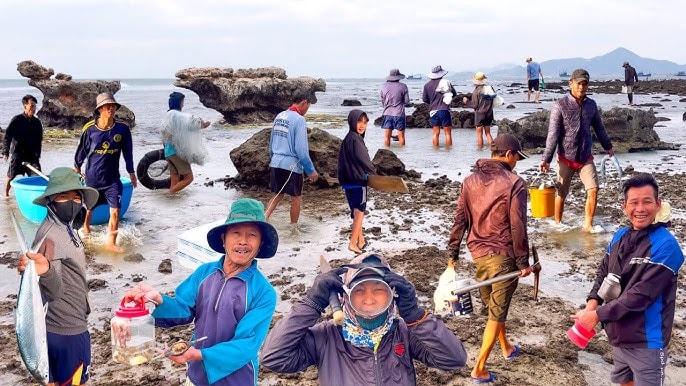 Đưa du lịch Ninh Thuận trở thành ngành kinh tế bền vững - Ảnh 1. Đưa du lịch Ninh Thuận trở thành ngành kinh tế bền vững - Ảnh 1.