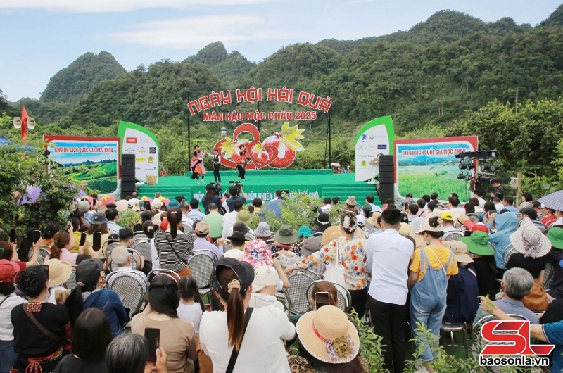 Du lịch Sơn La “Đến để yêu” - Ảnh 3. Du lịch Sơn La “Đến để yêu” - Ảnh 3.